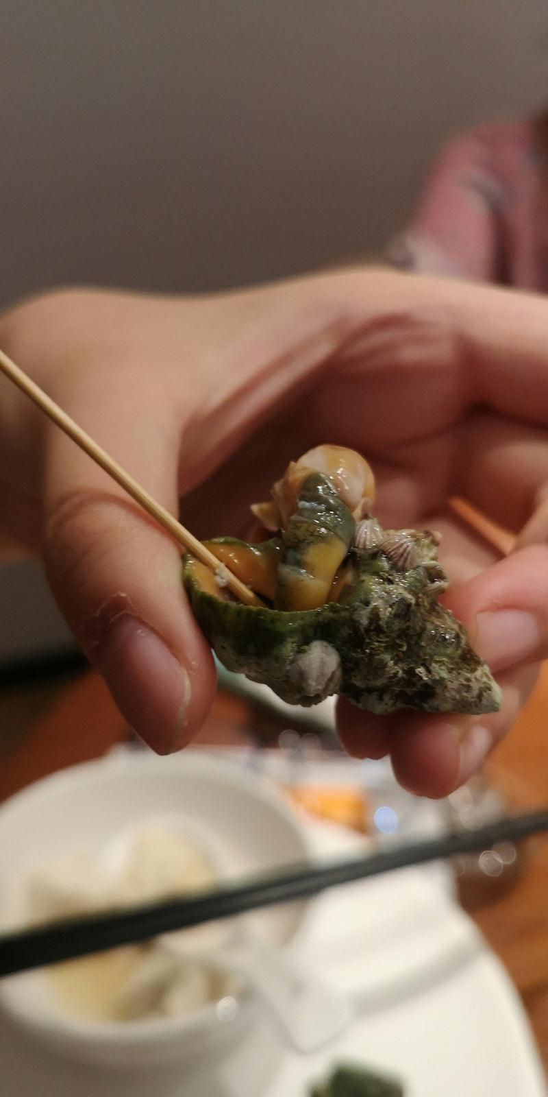 person holding green and brown stone