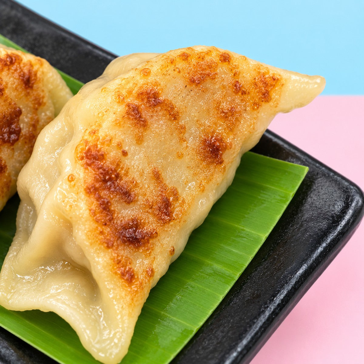 XMAS  CHK GYOZA (10pcs) — texture detail